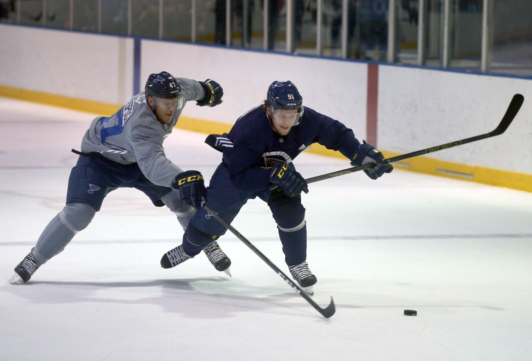 St. Louis Blues 2018-19 training camp